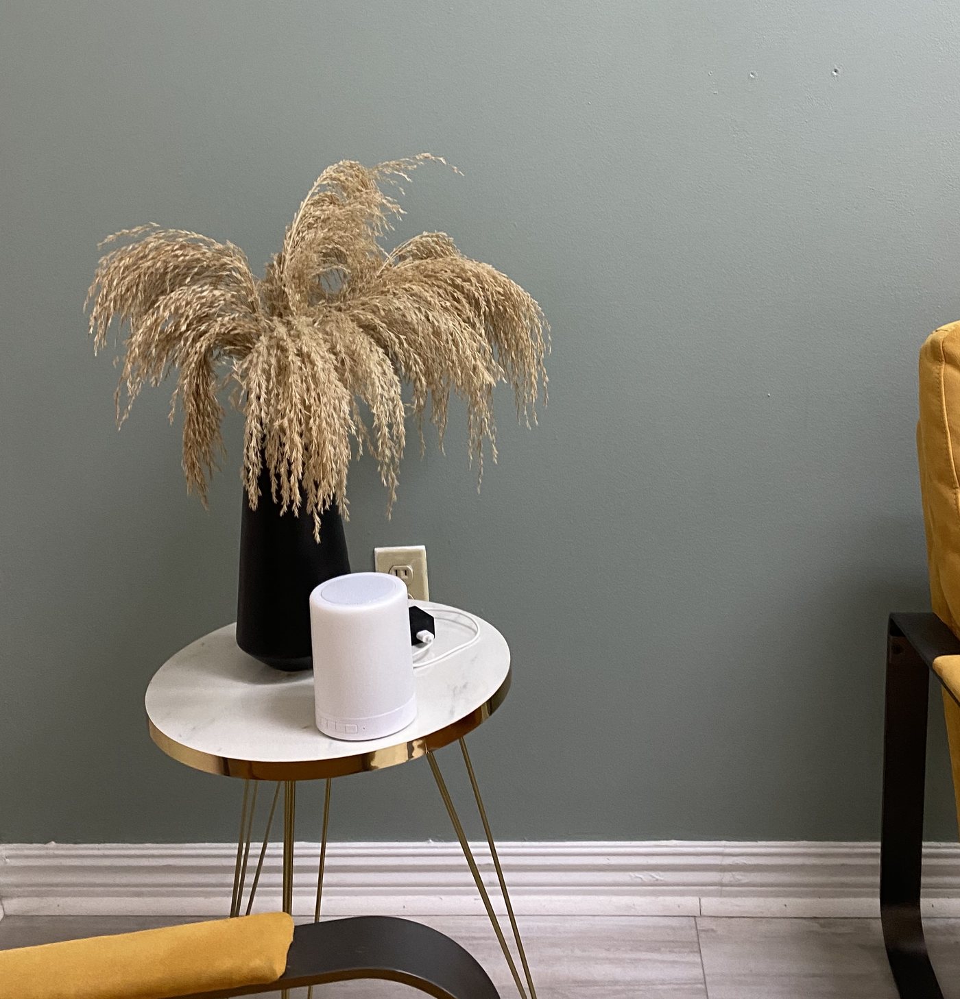 A corner of the studio: pampas grass in a black vase against a sage wall, beside a mustard velvet chair